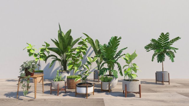 Plants potted plants landscape trees cacti green plants Modèle 3D .c4d .max .obj .3ds .fbx .stl .blend 