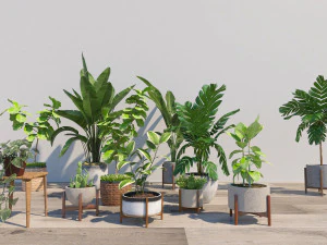 Plantas vasos de plantas árvores de paisagem cactos plantas verdes Modelo 3D