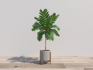 Plants potted plants landscape trees cacti green plants Modèle 3D