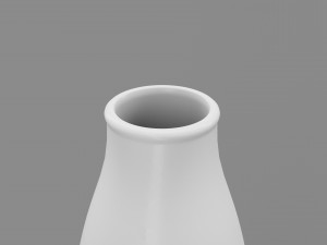 Stainless Steel Water Bottle Topographic Line Hydroflask Model 3D