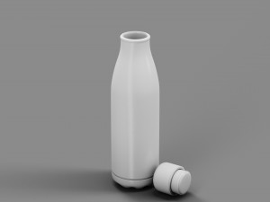 Stainless Steel Water Bottle Topographic Line Hydroflask Model 3D