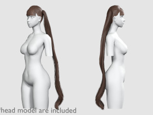 Bangs Ponytails Hairstyle V8629 3D Model