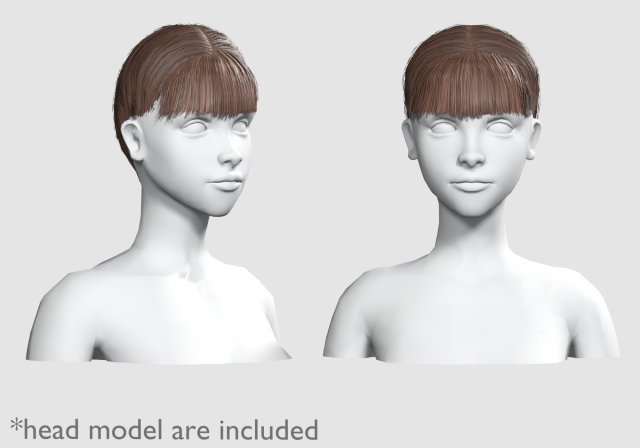 Bangs Tight Hairstyle V4204 3D Model .c4d .max .obj .3ds .fbx .stl .blend 