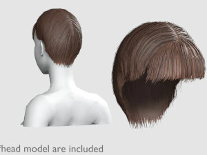 Bangs Tight Hairstyle V4204 3D Model
