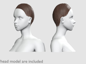 Basic Hairline Hairstyle V3852 3D 모델