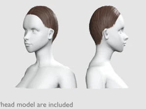 Basic Hairline Hairstyle V3852 3D Model