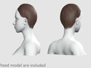 Basic Hairline Hairstyle V3852 3D Model