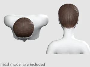 Basic Hairline Hairstyle V3852 3D Model