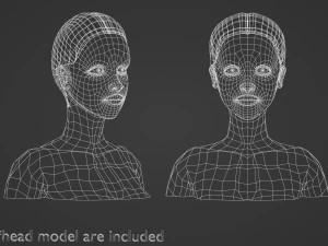 Basic Hairline Hairstyle V3852 3D Model