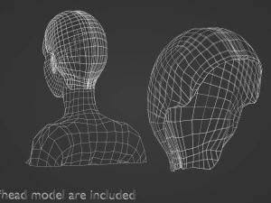 Basic Hairline Hairstyle V3852 3D Model