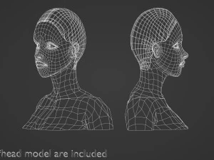 Basic Hairline Hairstyle V3852 3D Model