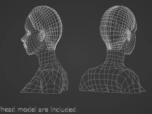 Basic Hairline Hairstyle V3852 3D Model