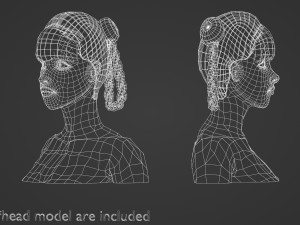 Braids Bun Hairstyle V10305 Modelo 3D
