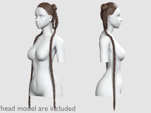 Braids Long Hairstyle V30819 Modello 3D