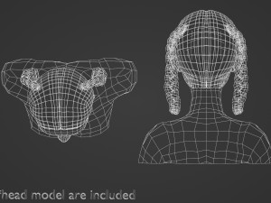 Braids Pigtails Hairstyle V8748 3D Model