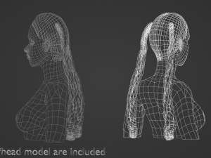 Braids Tight Hairstyle V9143 3D Model
