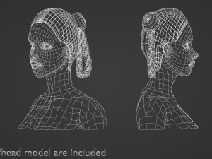 Bun Braids Hairstyle V10015 3D Model