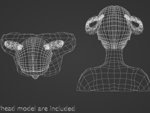 Cute Braids Hairstyle V8748 Modello 3D