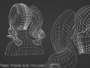 Cute Ponytails Hairstyle V11985 Modello 3D