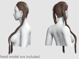 Long Braids Hairstyle V9353 3D मॉडल