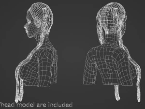 Long Braids Hairstyle V9353 3D Model