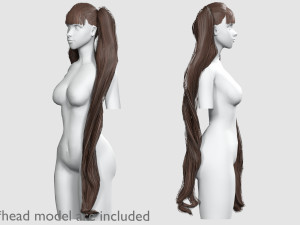 Long Pigtails Hairstyle V17605 Model 3D