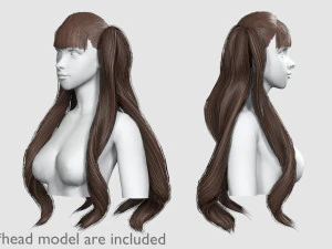 Long Ponytails Hairstyle V11801 3D Model