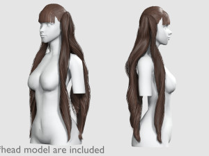 Long Wavy Hairstyle V12474 3D Model