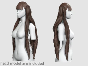 긴 웨이브 헤어스타일 V12474 3D 모델