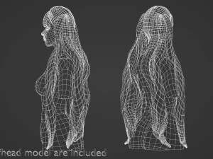 긴 웨이브 헤어스타일 V12474 3D 모델