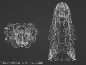 긴 웨이브 헤어스타일 V12474 3D 모델