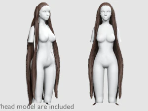 Nattes Coiffure Longue V12723 Modèle 3D