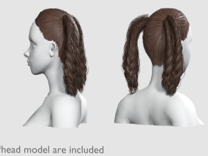 Ponytails Braids Hairstyle V18540 3D Model