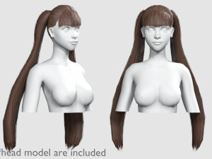 Straight Ponytails Hairstyle V5921 3D Model