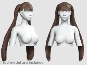 Penteado com rabo de cavalo reto V5921 Modelo 3D