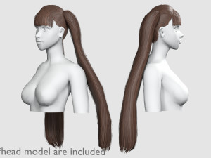 Straight Ponytails Hairstyle V5921 3D Model