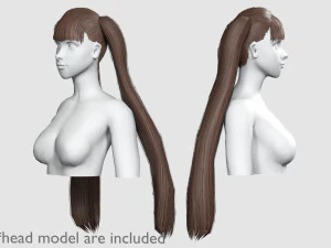 Straight Ponytails Hairstyle V5921 3D Model