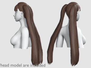 Straight Ponytails Hairstyle V5921 3D Model