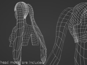 Straight Ponytails Hairstyle V5921 3D Model