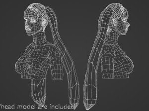 Straight Ponytails Hairstyle V5921 3D Model