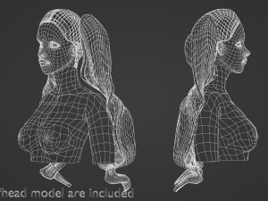 Thick Pigtails Hairstyle V16772 Model 3D