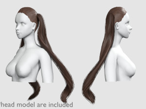 Tight Ponytails Hairstyle V10055 Modèle 3D