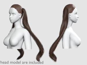 Tight Ponytails Hairstyle V10055 3D Model