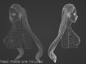 Tight Ponytails Hairstyle V10055 Modèle 3D