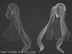 Tight Ponytails Hairstyle V10055 Modèle 3D