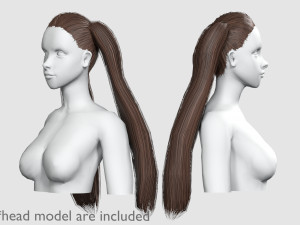 Tight Straight Hairstyle V6260 3Dモデル