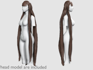 Very Long Hairstyle V13053 3D Model