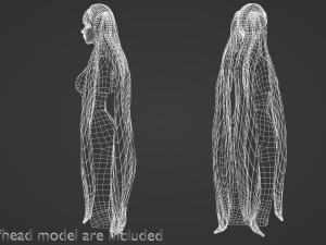 Very Long Hairstyle V13053 3D Model