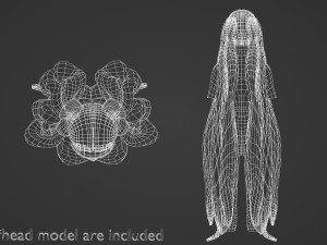 Very Long Hairstyle V13053 3D Model