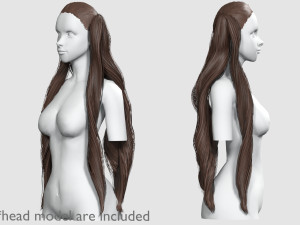 Wavy Long Hairstyle V12144 Modello 3D